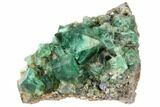 Fluorite Crystal Cluster with Galena- Rogerley Mine #132981-1